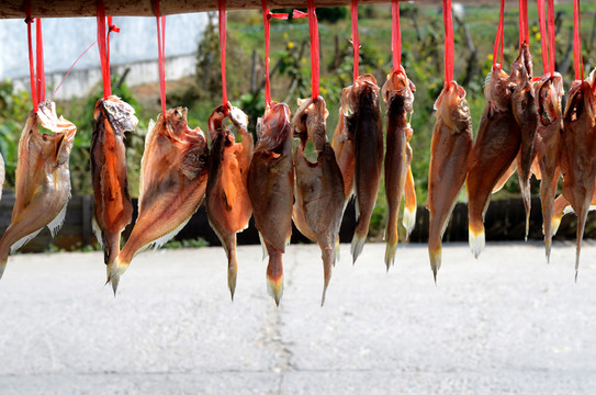 魚干
