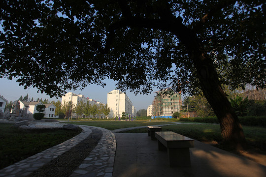 新農(nóng)村