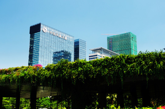 深圳建筑風(fēng)光