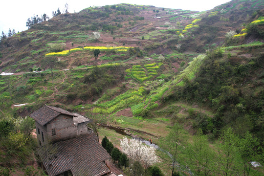 重慶 山區(qū)