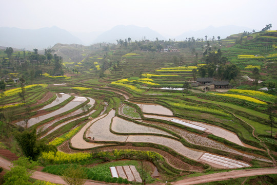 重慶 山區(qū)農(nóng)田