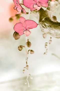 水墨蘭花