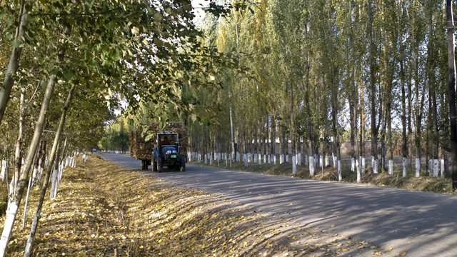 鄉(xiāng)間小路