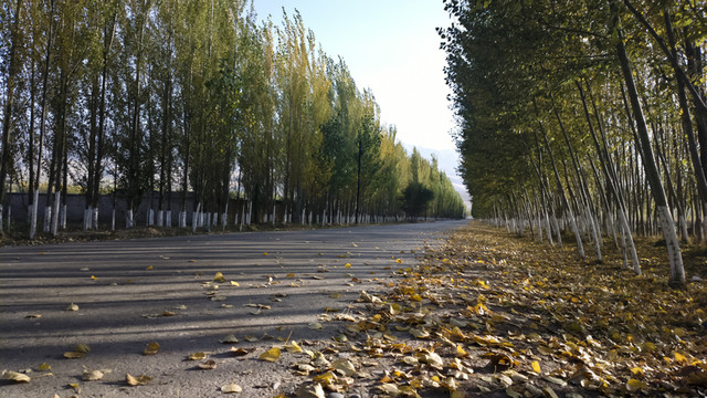 鄉(xiāng)間小路
