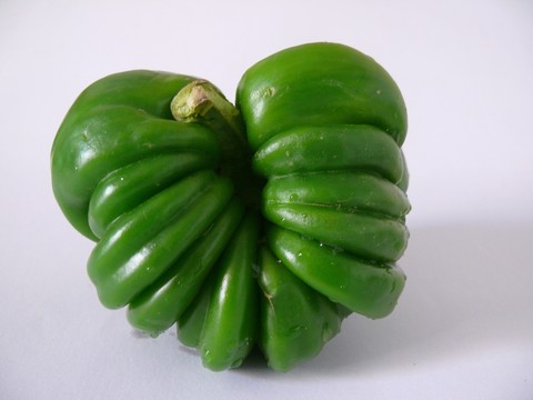 大辣椒