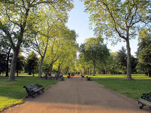 公園