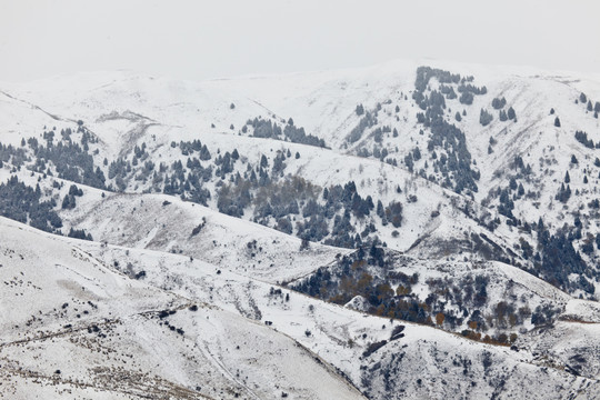 雪山