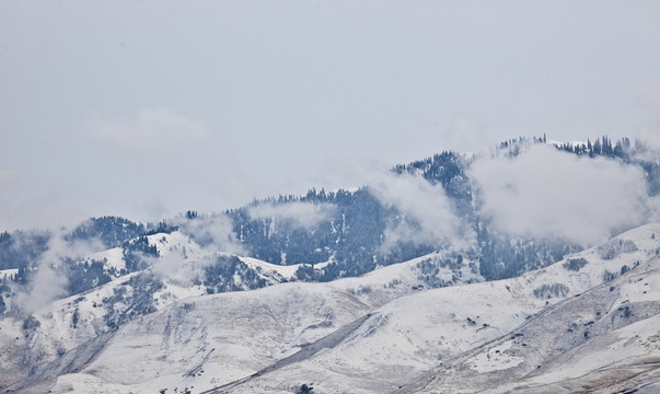 雪山