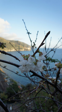 意大利五漁村