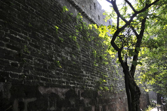 越秀公園 古城墻