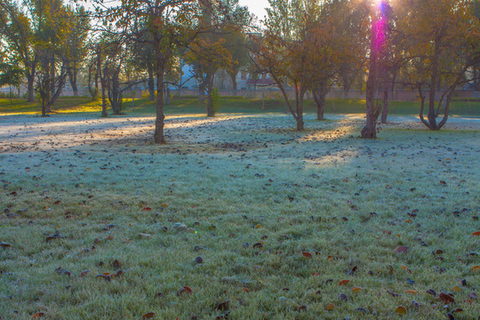 公園