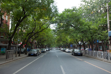 林蔭大道