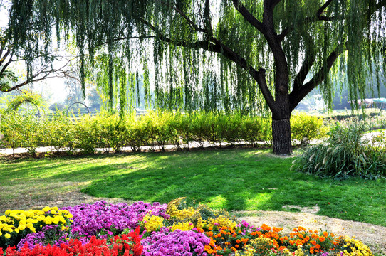 北京植物園
