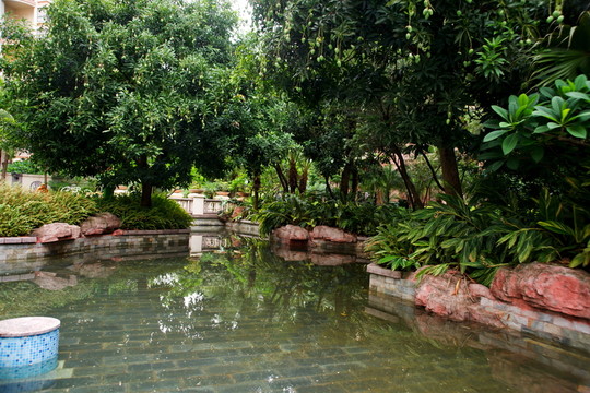 景觀園林水池