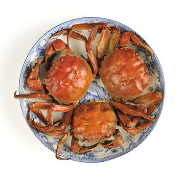 陽(yáng)澄湖大閘蟹