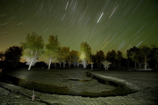 塔河胡楊林星軌