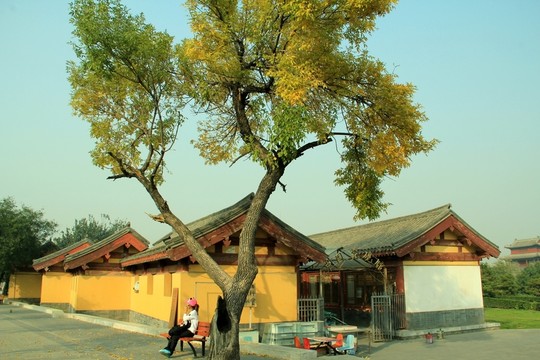 公園一角 房子  大樹