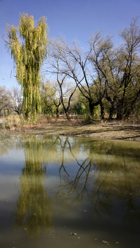 小河