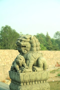 盧溝橋石獅子