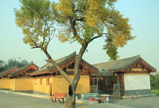 盧溝橋  曉月湖公園