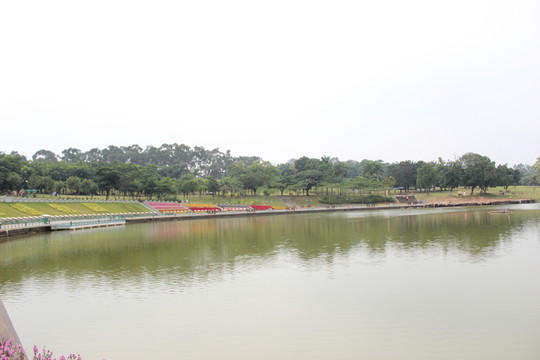 公園湖泊草地