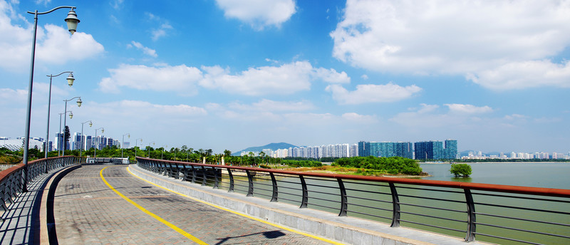 深圳灣風(fēng)光