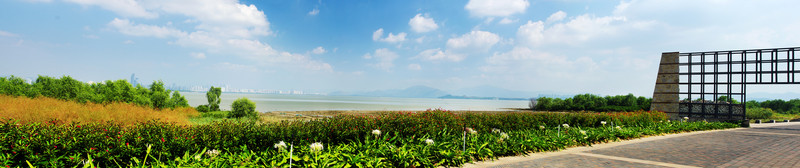 深圳灣風(fēng)光