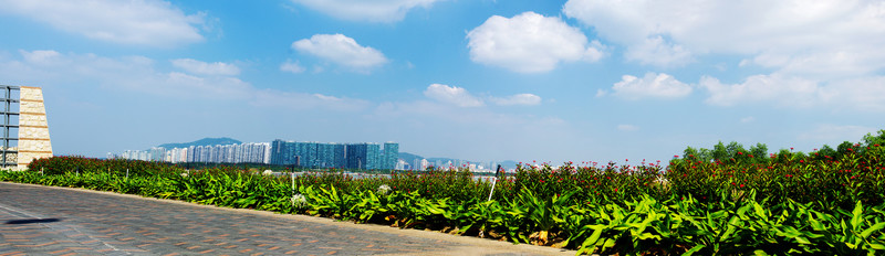 深圳灣風(fēng)光