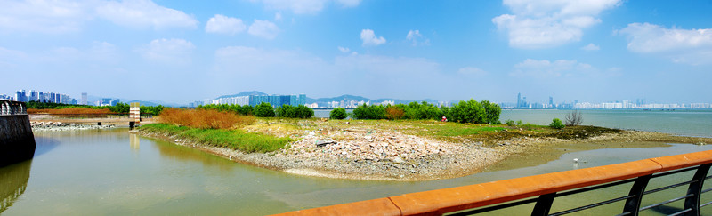 深圳灣風(fēng)光