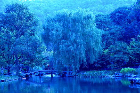 駐足看風(fēng)景