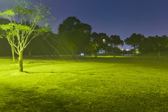 公園夜色