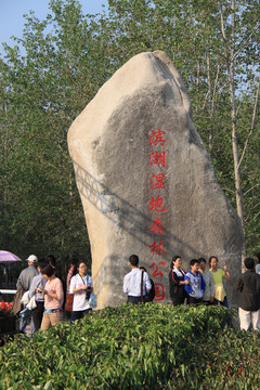 濕地公園