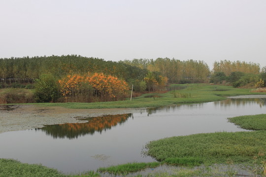 野外風(fēng)光
