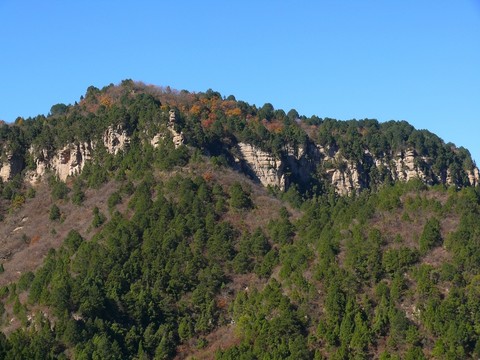 山林