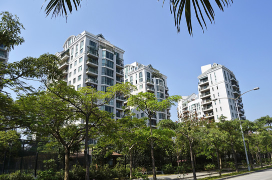 深圳風(fēng)光