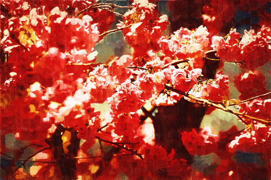 花卉裝飾畫