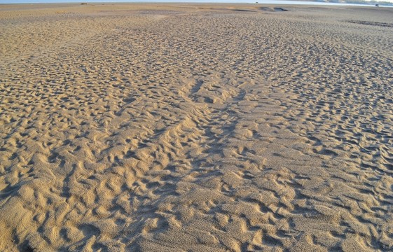 黃河沙洲