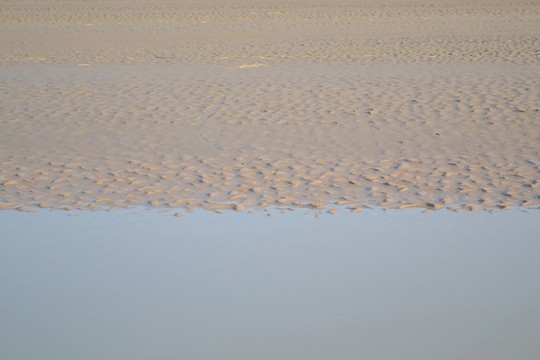 黃河沙洲
