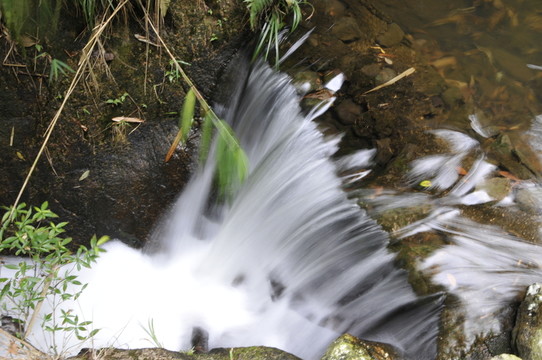 清遠(yuǎn)天子山