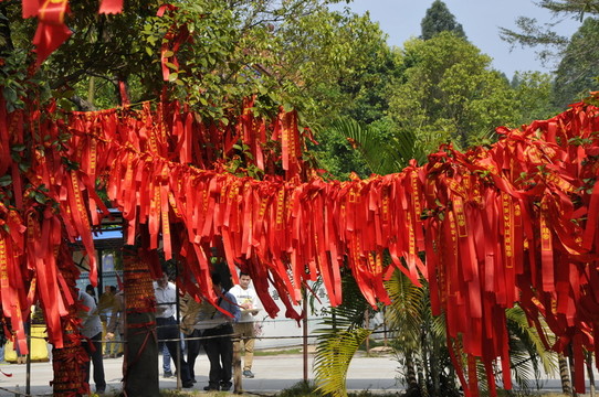 許愿樹