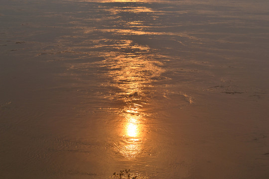 黃河水