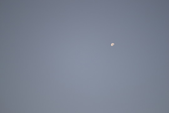 早晨的月亮