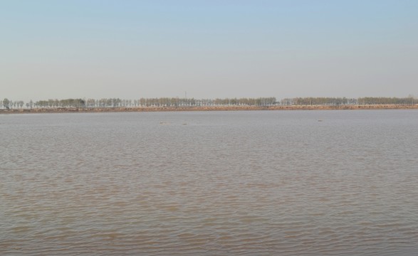 深秋的黃河水