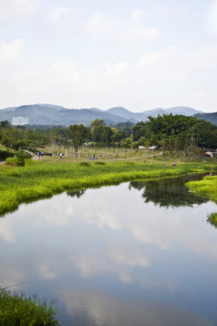 中心公園一角