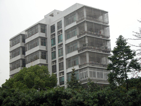 深圳 住宅樓鋼筋防盜網(wǎng)