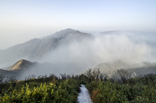 霧景