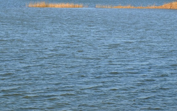 湖水蕩漾