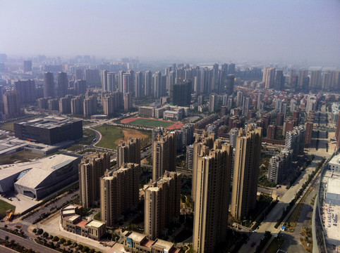 都市森林