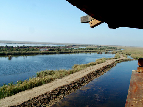 黃河口濕地公園