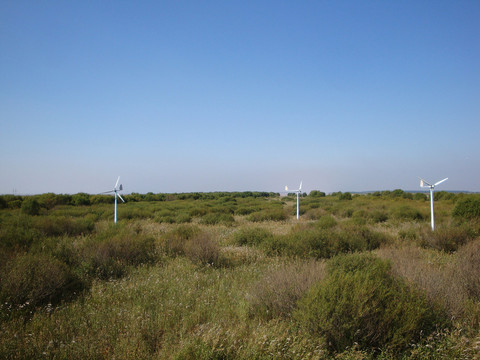 黃河濕地公園